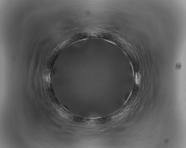 X0000100381155200806131053