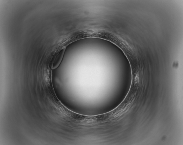 X0000100381156200806131053