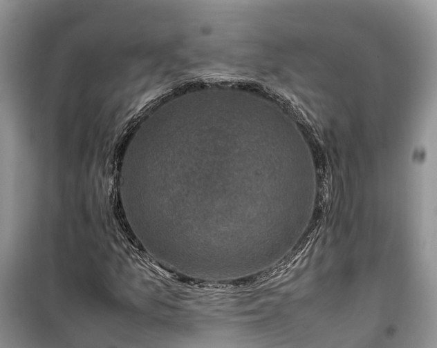 X0000100381157200806131053