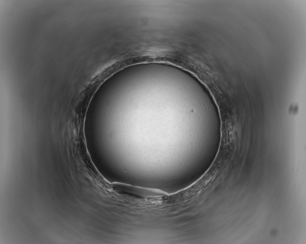X0000100381158200806131053