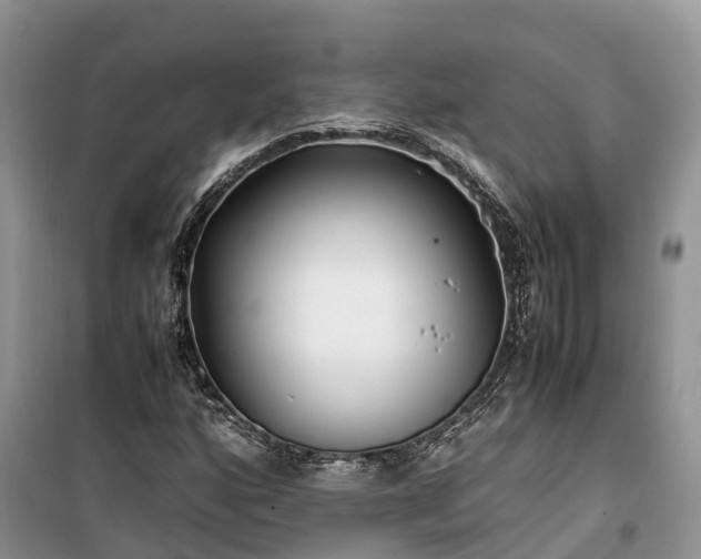 X0000100381160200806131053
