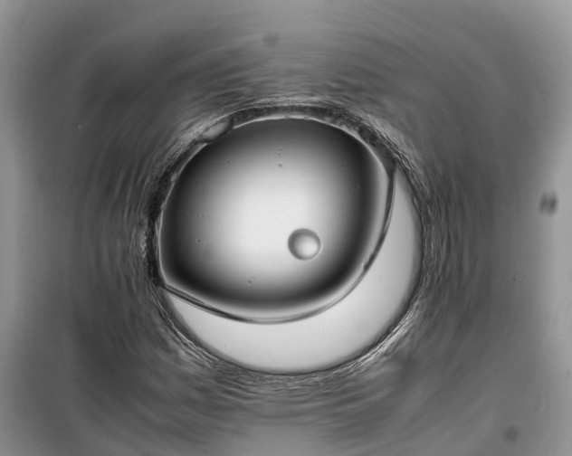 X0000100381161200806131053