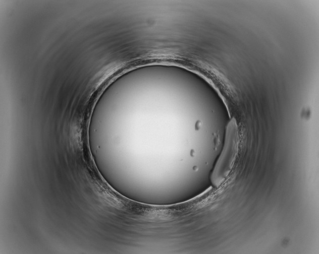 X0000100381162200806131053