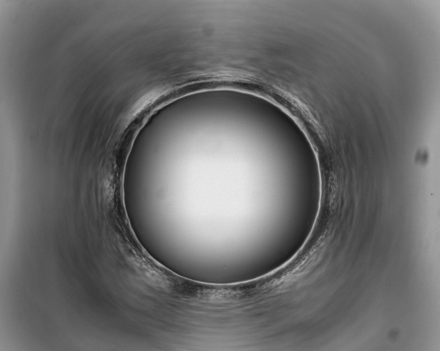 X0000100381163200806131053
