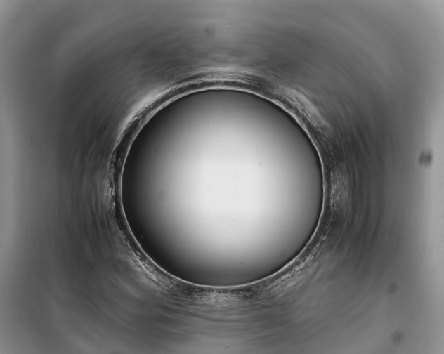 X0000100381164200806131053