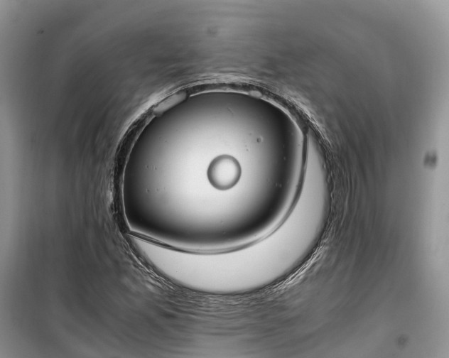 X0000100381165200806131053