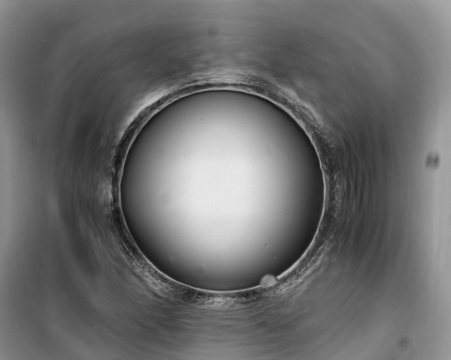 X0000100381166200806131053