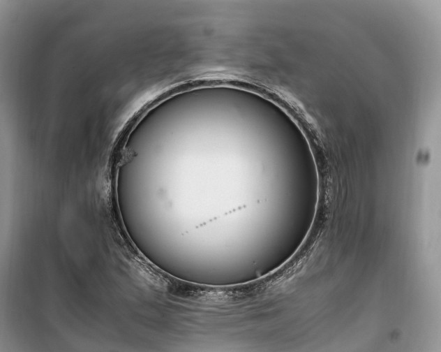 X0000100381167200806131053