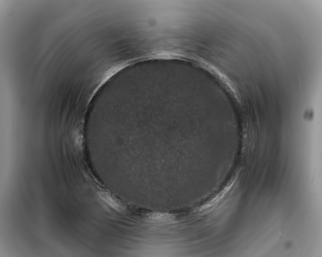 X0000100381170200806131053