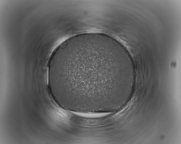 X0000100381171200806131053
