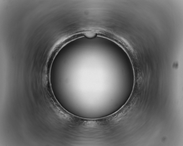 X0000100381172200806131053