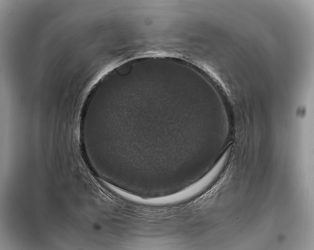 X0000100381173200806131053