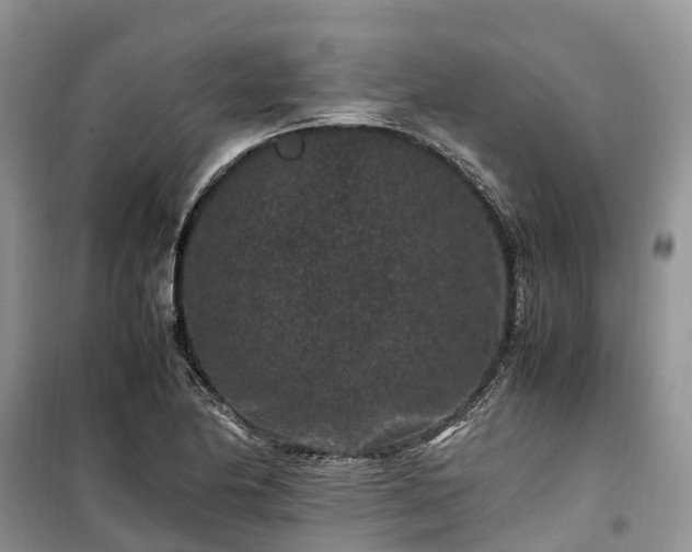 X0000100381174200806131053