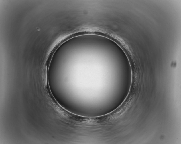 X0000100381175200806131053