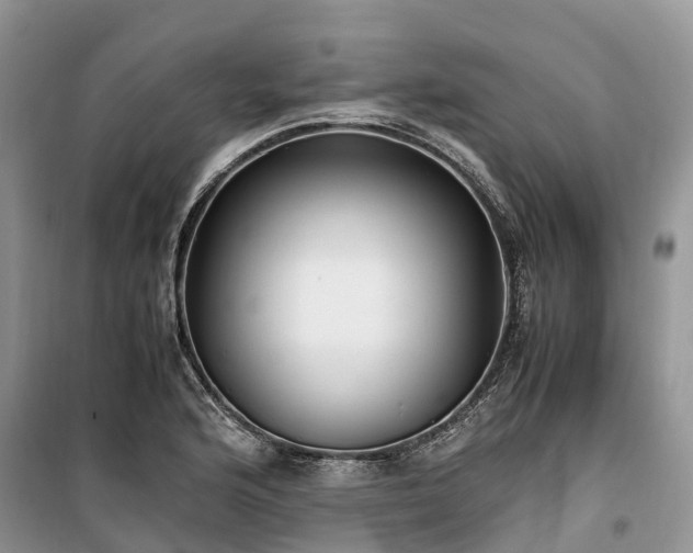 X0000100381176200806131053