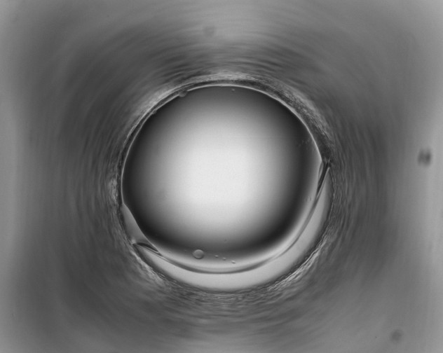X0000100381177200806131053