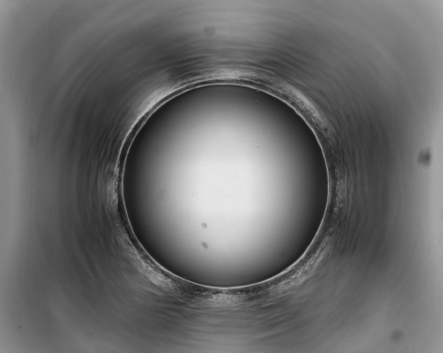 X0000100381178200806131053