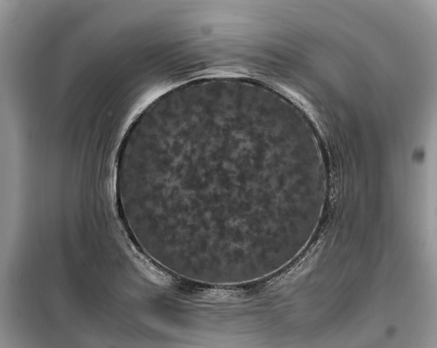 X0000100381179200806131053