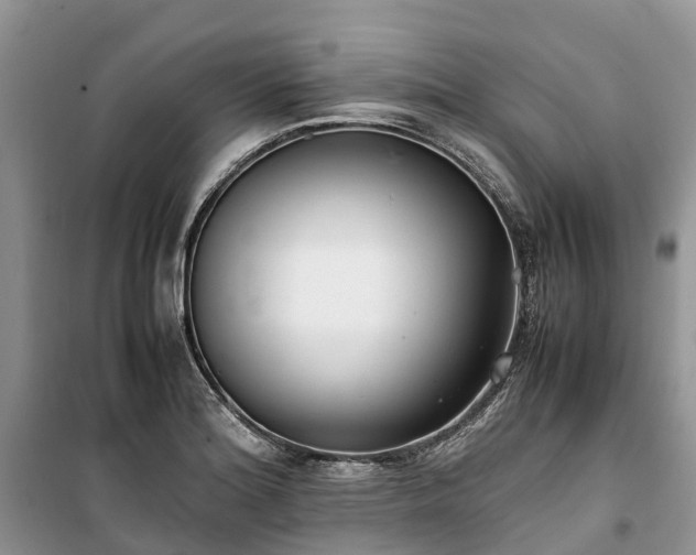 X0000100381180200806131053