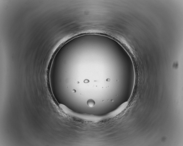 X0000100381181200806131053