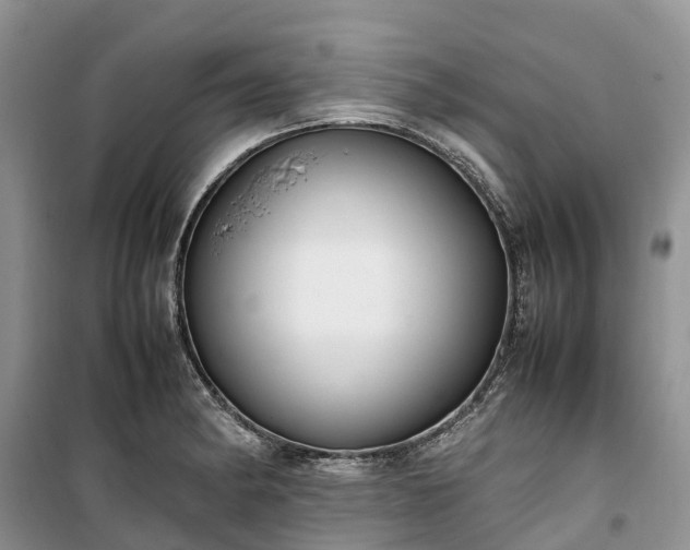 X0000100381182200806131053