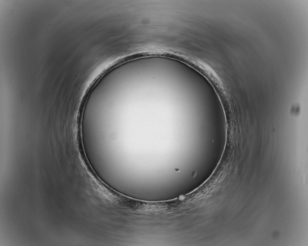 X0000100381183200806131053