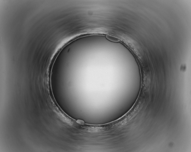 X0000100381184200806131053