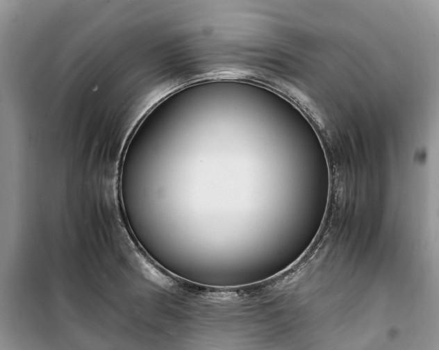 X0000100381186200806131053