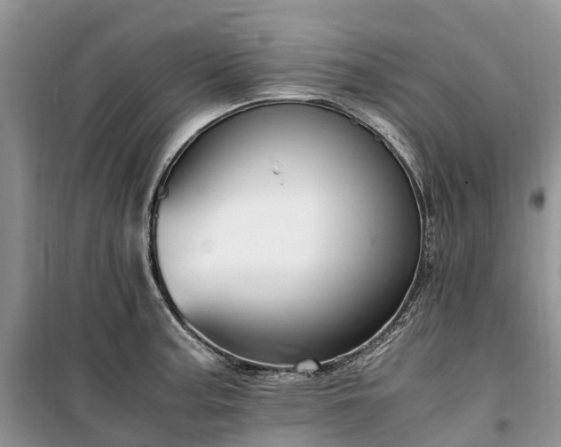 X0000100381187200806131053