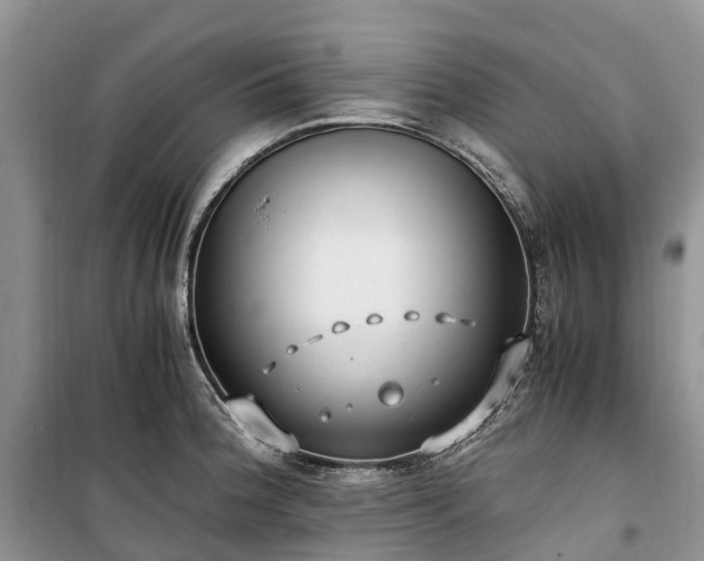 X0000100381188200806131052