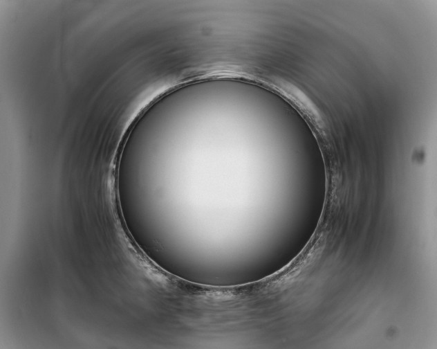 X0000100381190200806131052