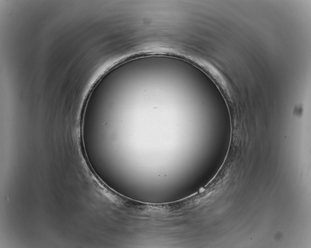 X0000100381191200806131052