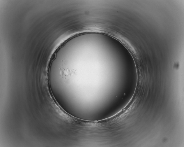 X0000100381192200806131052