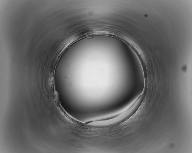 X0000100381193200806131052
