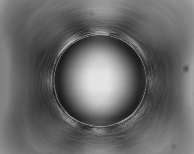 X0000100381194200806131052