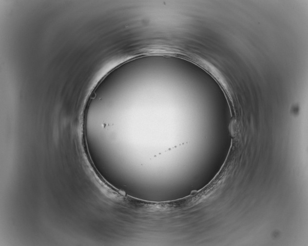 X0000100381195200806131052