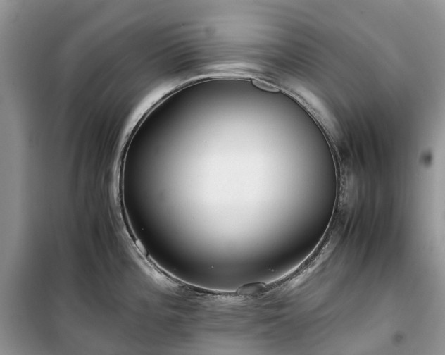 X0000100381196200806131052