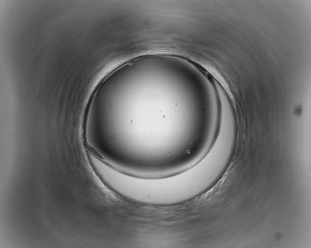 X0000100381197200806131052