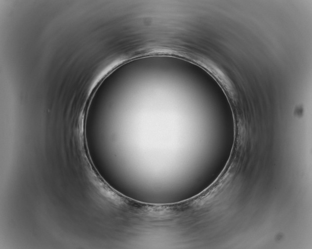 X0000100381198200806131052