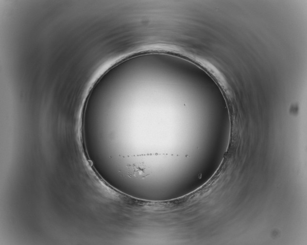 X0000100381199200806131052