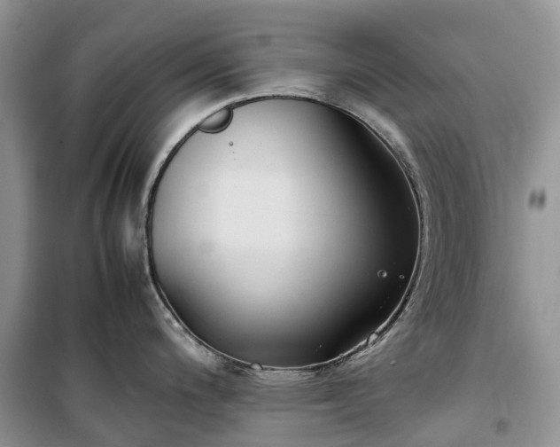 X0000100381200200806131052