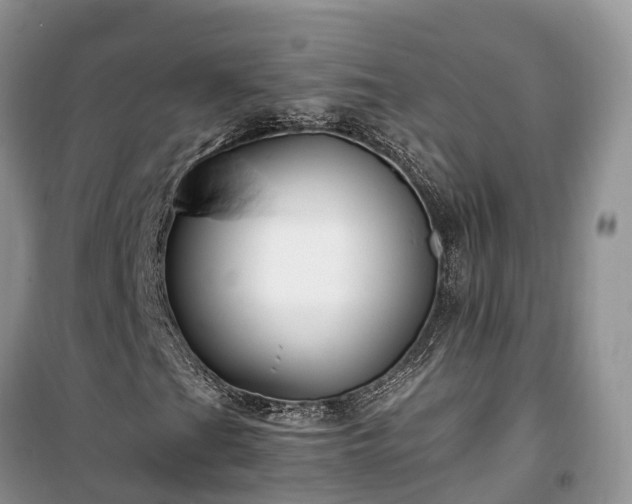 X0000100381201200806131052