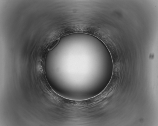 X0000100381202200806131052