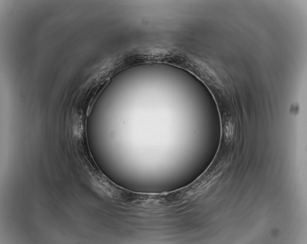 X0000100381204200806131052