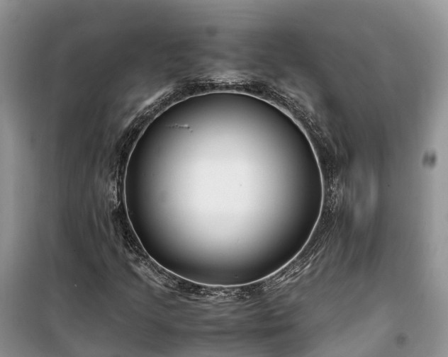 X0000100381205200806131052