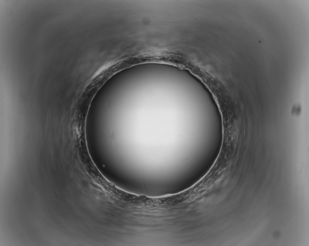 X0000100381206200806131052