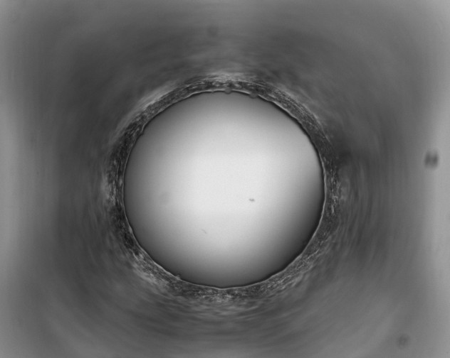 X0000100381207200806131052