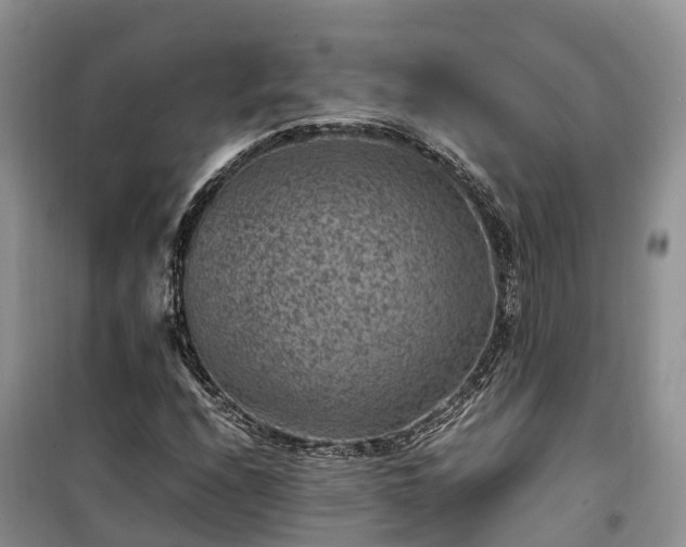 X0000100381208200806131052