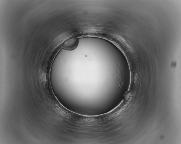 X0000100381209200806131052