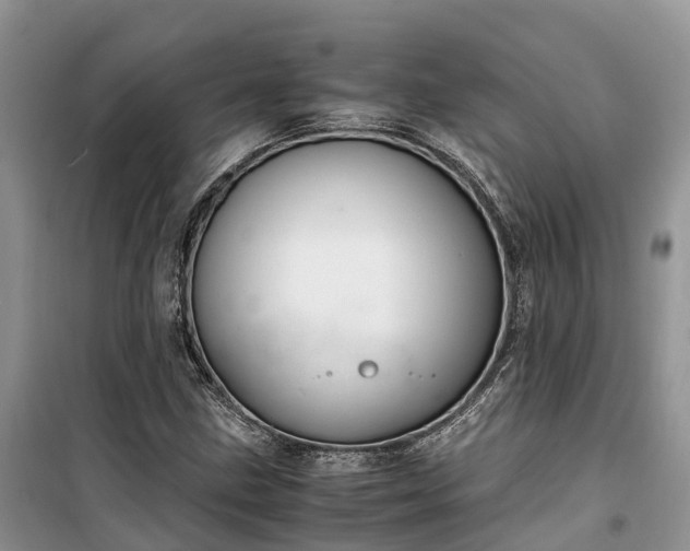 X0000100381211200806131052